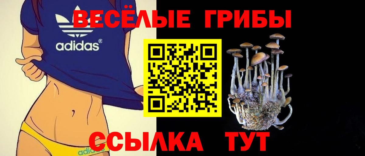 Арзамас  Псилоцибиновые грибы мицелий  Вход с VPN  Псилоцибиновые грибы Psilocybe 